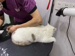 -宠颐生动物医院·小陆分院
