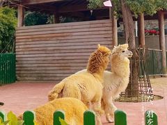 -无锡动物园·太湖欢乐园