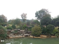 -铁山坪森林公园