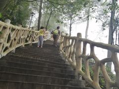 -大金鹰园
