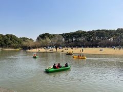 -上海方塔园