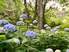 -天柱山山谷流泉文化园
