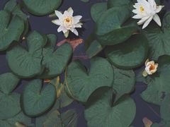 -玄武湖景区-情侣园游乐场