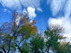 -壹条龙饭庄台基厂店