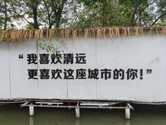 -芭厘·农庄老字号.电饭煲五指毛桃焗鸡