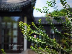 -杭州西子湖四季酒店-WL BISTRO西湖餐厅(灵隐路店)