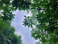-成都市活水公园