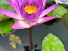 -三亚南山文化旅游区