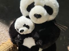 -广州长隆野生动物世界