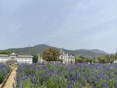 -玫瑰海岸文化旅游度假区