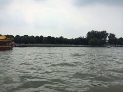 -溱湖国家湿地公园