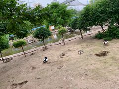 -森林公园(尖草坪区)