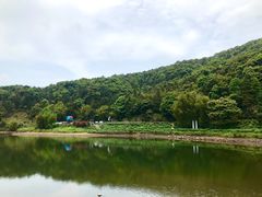 -广州市石门国家森林公园