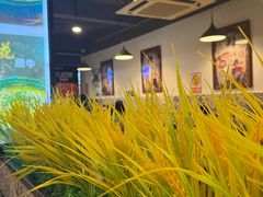 -新蜀会四川豆花(五羊店)