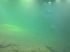 -白鹤梁水下博物馆