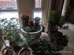 -天津东丽湖风景区