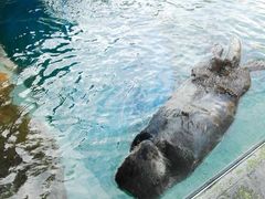 -西雅图水族馆