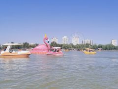 -天津水上公园