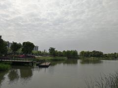 -尚贤河湿地