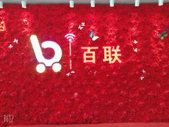 -沈阳百联购物中心(青年大街店)
