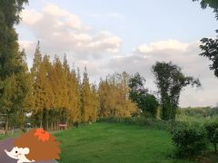 -蜀绣公园