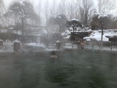 -陆地游轮吉林神农温泉