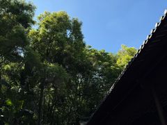 -深圳国际园林花卉博览园