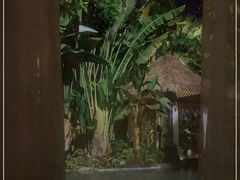 -碧桂园润杨溪谷温泉酒店