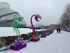 -沈阳奥体冰雪嘉年华