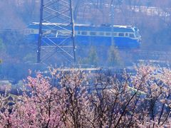 -白水寺森林公园