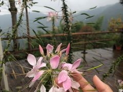 -黄山翡翠谷景区