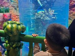 -青岛嘉年华主题乐园