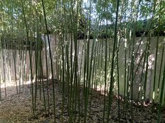 -秋霞圃