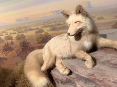 -陕西自然博物馆