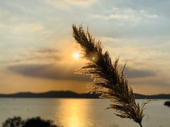 -上海市保健医疗中心