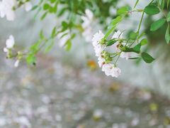 -苏州河梦清园环保主题公园