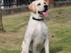 -芭比堂宠物医院·全科爱猫医院·仁德分院