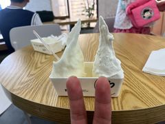 -野人先生Gelato(上海长宁龙之梦店)