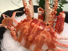 -海逸海鲜酒家(古北店)