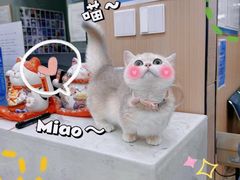 -米苏动物医院·犬猫专科·骨科外科内窥镜
