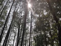 -东湖落雁景区