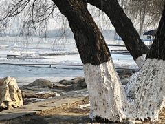 -长春市南湖公园