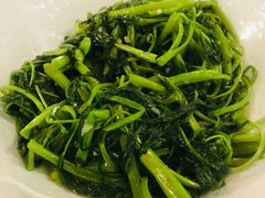 呛炒空心菜-新川办餐厅