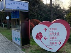 -铁山坪森林公园