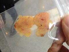 -上海华安整形外科门诊部