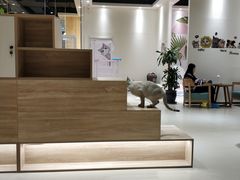 -藏猫猫咖啡主题馆(中央大道店)