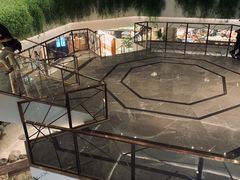 -广州白天鹅宾馆