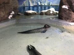 -南昌海洋公园