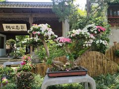 -惠山古镇·寄畅园