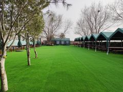 -亲兄弟真人CS团建拓展基地